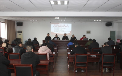 履行“兩會”職責(zé)、促進企業(yè)發(fā)展