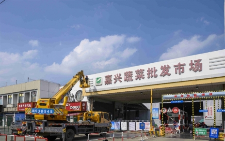 進(jìn)無止境，“嘉農(nóng)?蔬菜人”