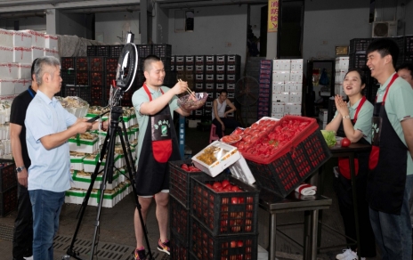 人間煙火氣，最撫凡人心  ---“嘉昕小廚房”本期主角：番茄！